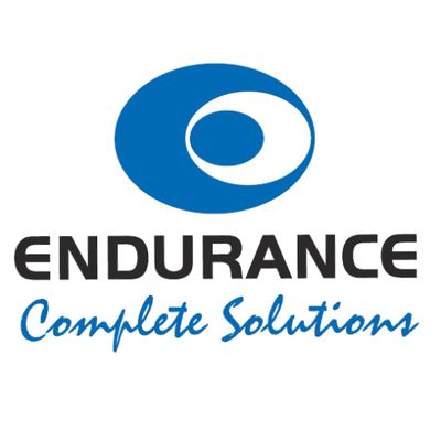 Endurance logo